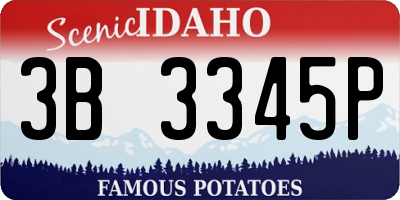 ID license plate 3B3345P