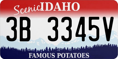 ID license plate 3B3345V