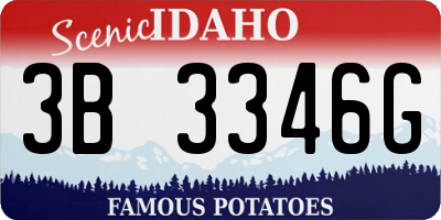 ID license plate 3B3346G