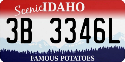 ID license plate 3B3346L