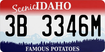 ID license plate 3B3346M