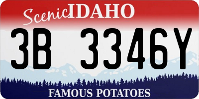 ID license plate 3B3346Y