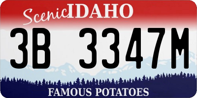 ID license plate 3B3347M