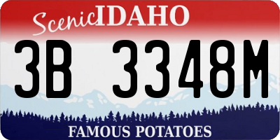 ID license plate 3B3348M