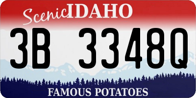 ID license plate 3B3348Q