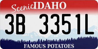 ID license plate 3B3351L