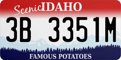 ID license plate 3B3351M