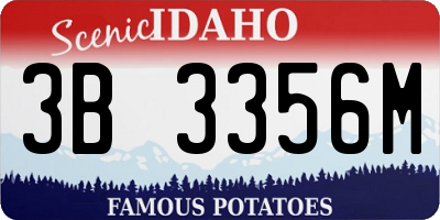 ID license plate 3B3356M