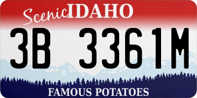 ID license plate 3B3361M