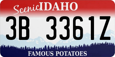 ID license plate 3B3361Z