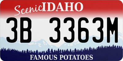 ID license plate 3B3363M