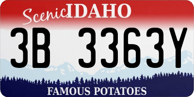 ID license plate 3B3363Y