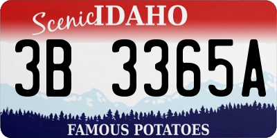 ID license plate 3B3365A