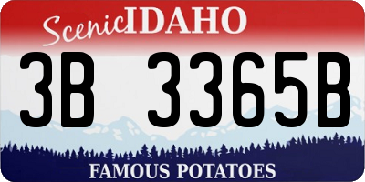 ID license plate 3B3365B