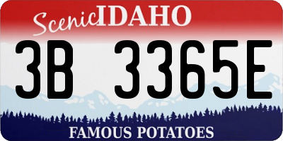 ID license plate 3B3365E