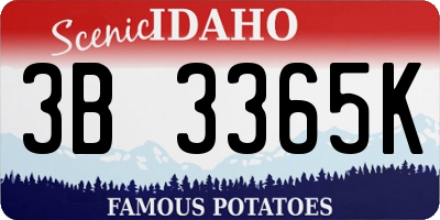 ID license plate 3B3365K