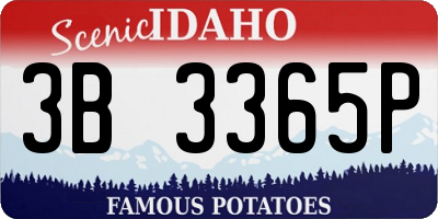 ID license plate 3B3365P