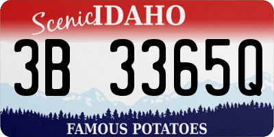 ID license plate 3B3365Q