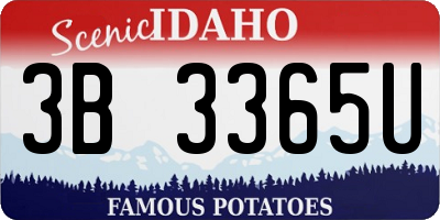 ID license plate 3B3365U