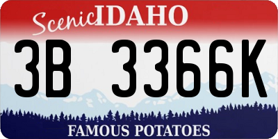 ID license plate 3B3366K