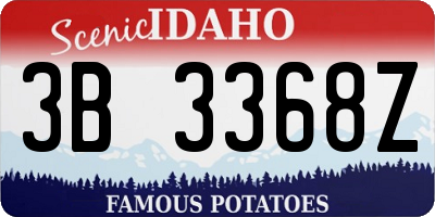 ID license plate 3B3368Z
