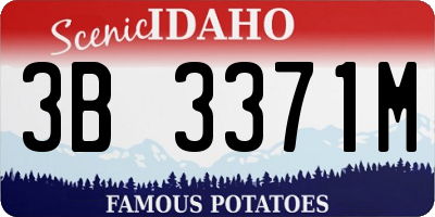 ID license plate 3B3371M