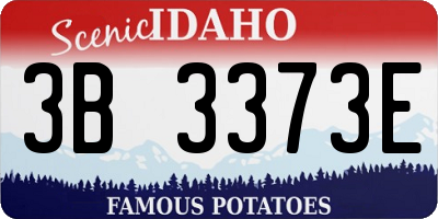 ID license plate 3B3373E