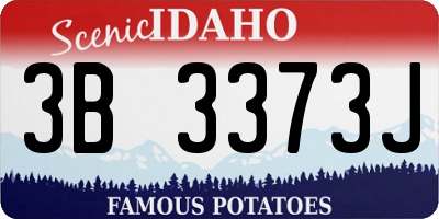 ID license plate 3B3373J