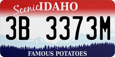 ID license plate 3B3373M