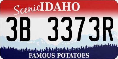 ID license plate 3B3373R