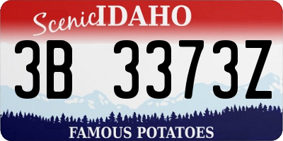 ID license plate 3B3373Z