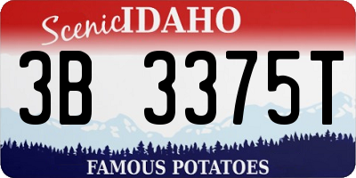 ID license plate 3B3375T