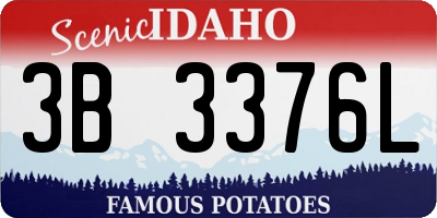ID license plate 3B3376L