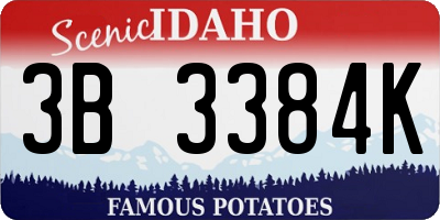 ID license plate 3B3384K