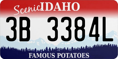 ID license plate 3B3384L