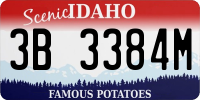 ID license plate 3B3384M