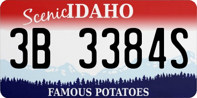 ID license plate 3B3384S