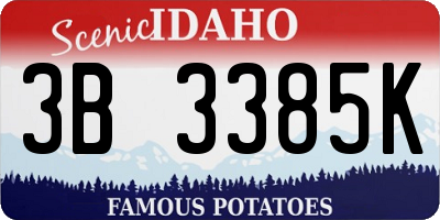 ID license plate 3B3385K