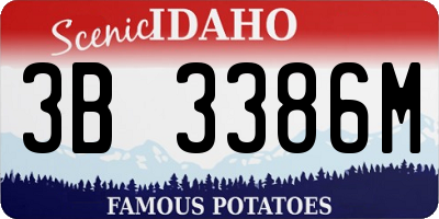 ID license plate 3B3386M