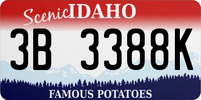ID license plate 3B3388K