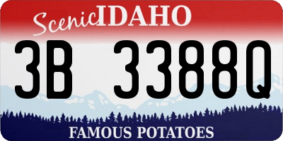 ID license plate 3B3388Q