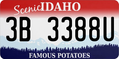 ID license plate 3B3388U