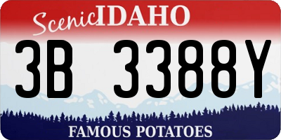 ID license plate 3B3388Y
