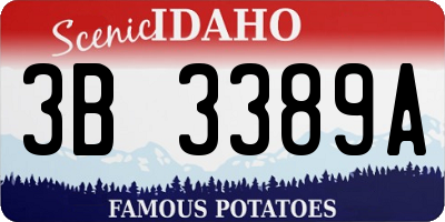 ID license plate 3B3389A