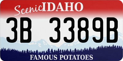 ID license plate 3B3389B