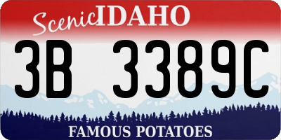 ID license plate 3B3389C