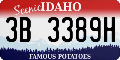 ID license plate 3B3389H