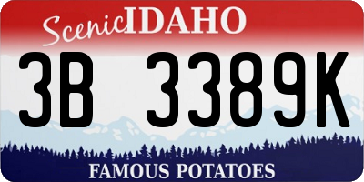 ID license plate 3B3389K