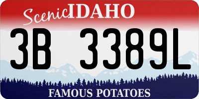 ID license plate 3B3389L
