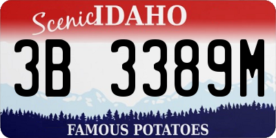 ID license plate 3B3389M